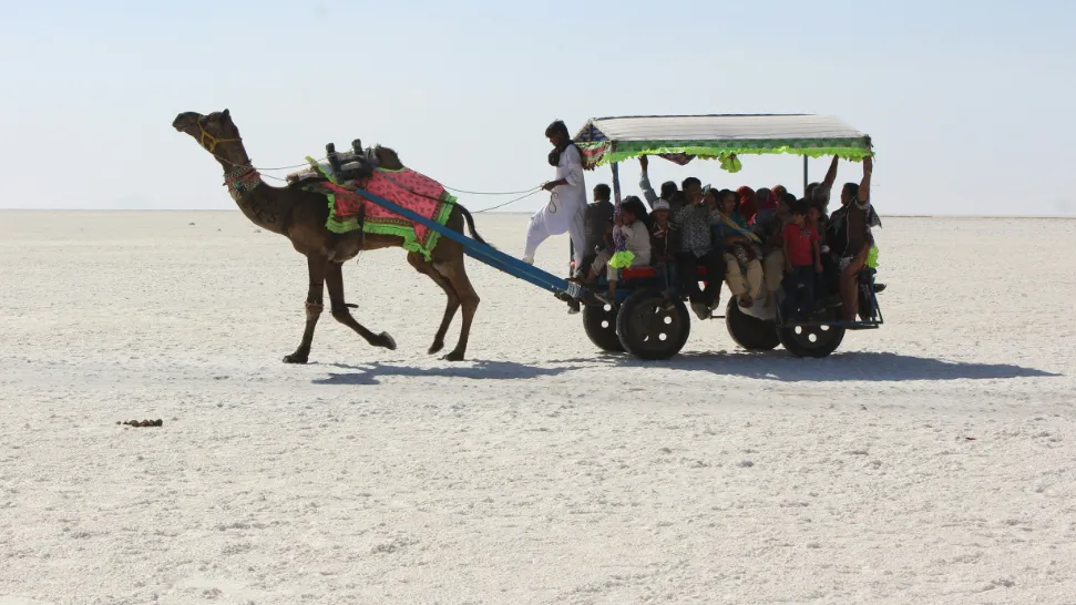 Rann Of Kutch is One of The Best Places to Visit in India in December With Family